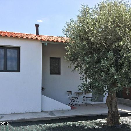 Casas Da Baronia Casa Catarina Villa Vila Nova da Baronia Eksteriør bilde